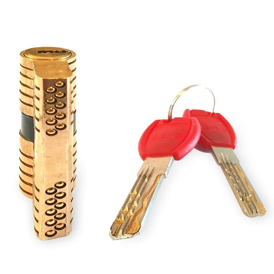 10 Pin Cutaway Practice Lock